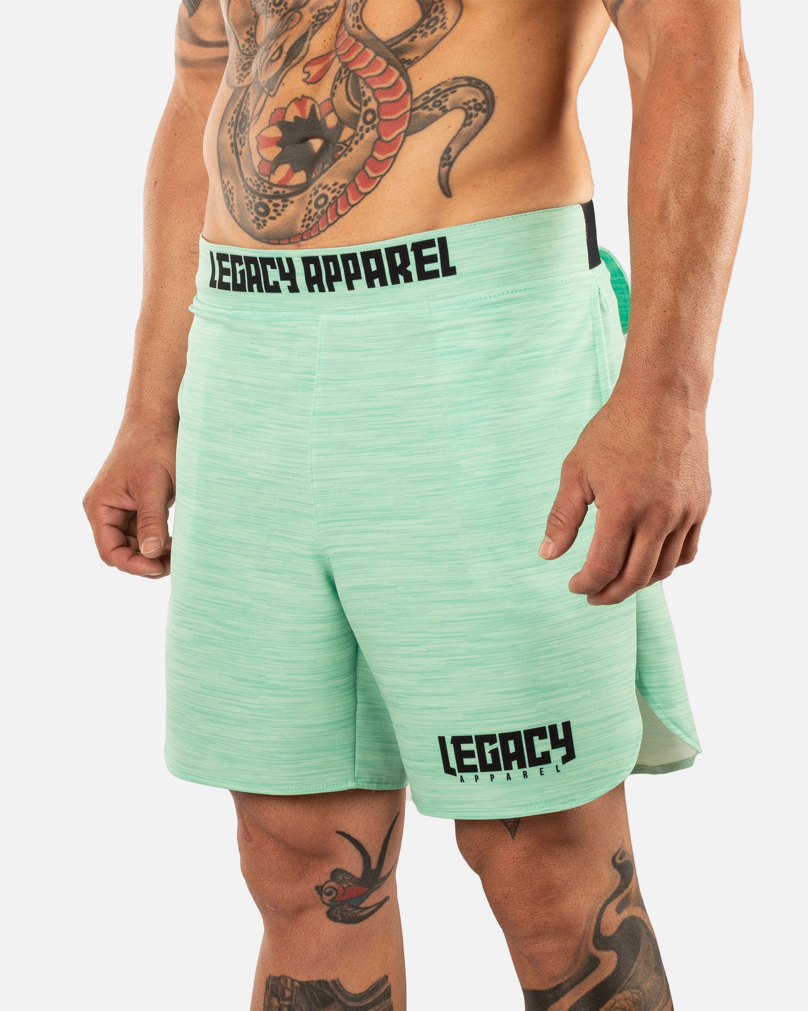Performance Shorts - Menta